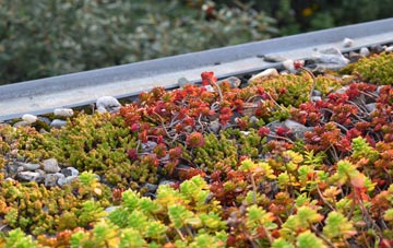 the cost of Filford green roof installation